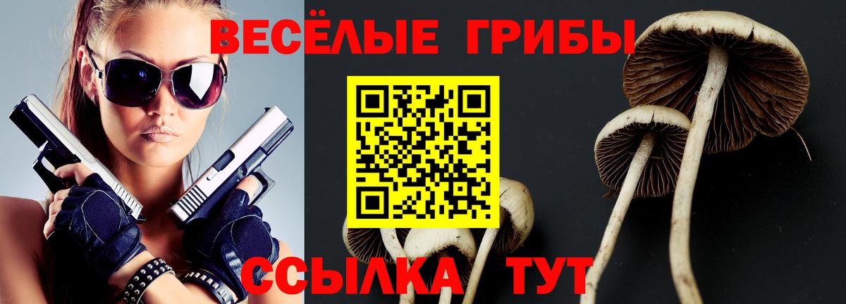 Псилоцибиновые грибы мицелий Ливны